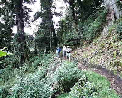 Volcan Baru National Park Sendero Los Quetzales